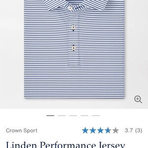 Peter Millar Blue and White Striped Polo Shirt